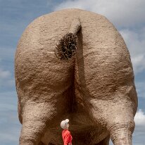 IMG_0158 29/07/2018 - Un monstre qui ne fait pas bon rencontrer au détour d'une route déserte et encore moins de se placer en-dessous... Can't help imagining the death...